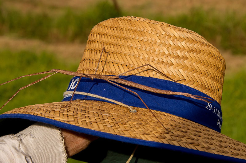 Protecting Yourself Against Skin Cancer