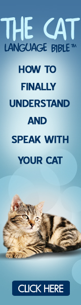 Cat Language Bible