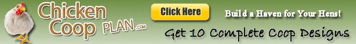 Chicken Coop Plans