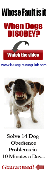 Dog Obedience Training Secrets