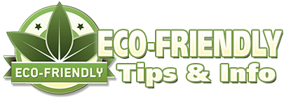 Eco Friendly Blog