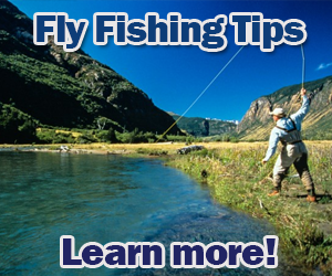 Fly Fishing for Beginners