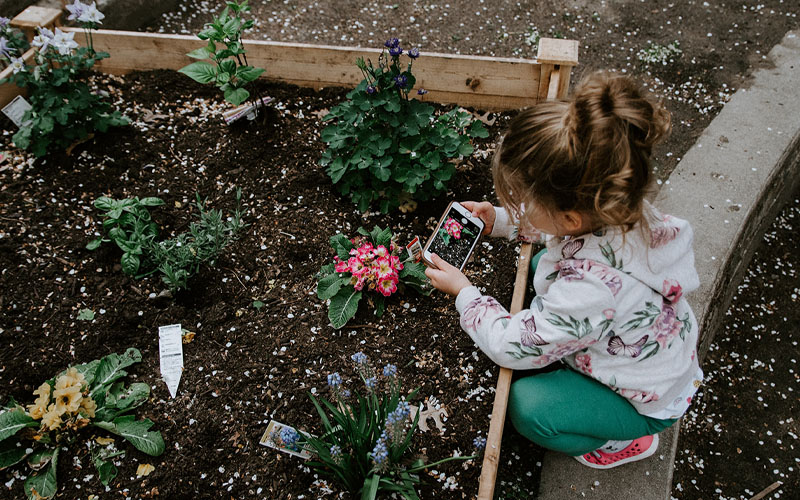 Smart Gardening Gadgets That Help You Succeed