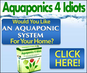 Aquaphonics for Idiots