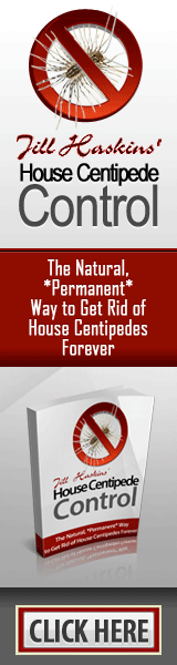 House Centipede Control