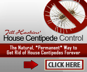 House Centipede Control