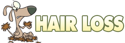 Hair Loss Blog