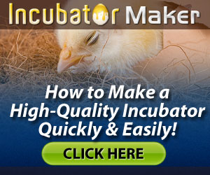 Create Incubator