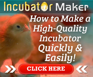 Incubator Maker