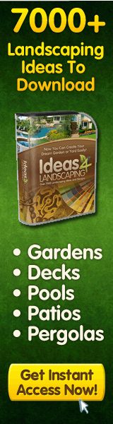 Landscaping Ideas and Designs
