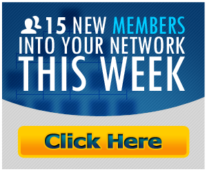 Bringing The Net Into Network Marketing