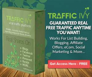 Profit Funnel System with Traffic Ivy