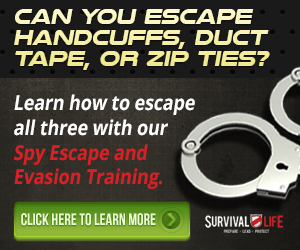Spy, Escape, and Evasion