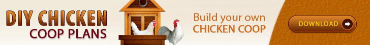 Building Chicken Coops Guide
