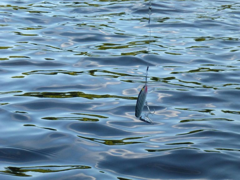 Deep Sea Fishing Tips