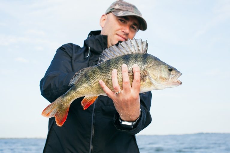 The Recreational Value of Fishing