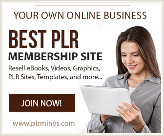 PLR Products for Your Digital Business