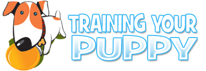 Training Your Puppy